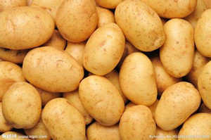Potato starch poduction line.jpg