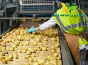 potato starch production line .jpg