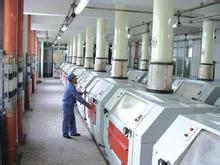 wheat starch processing machinery.jpg