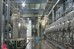 Cassava Starch Processing Equipment.jpg