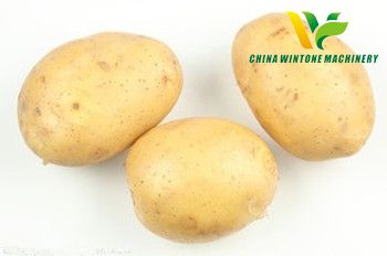 potato starch machinery.jpg