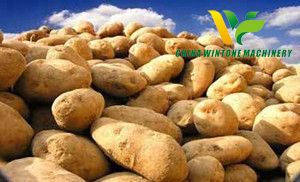 potato starch production line.jpg